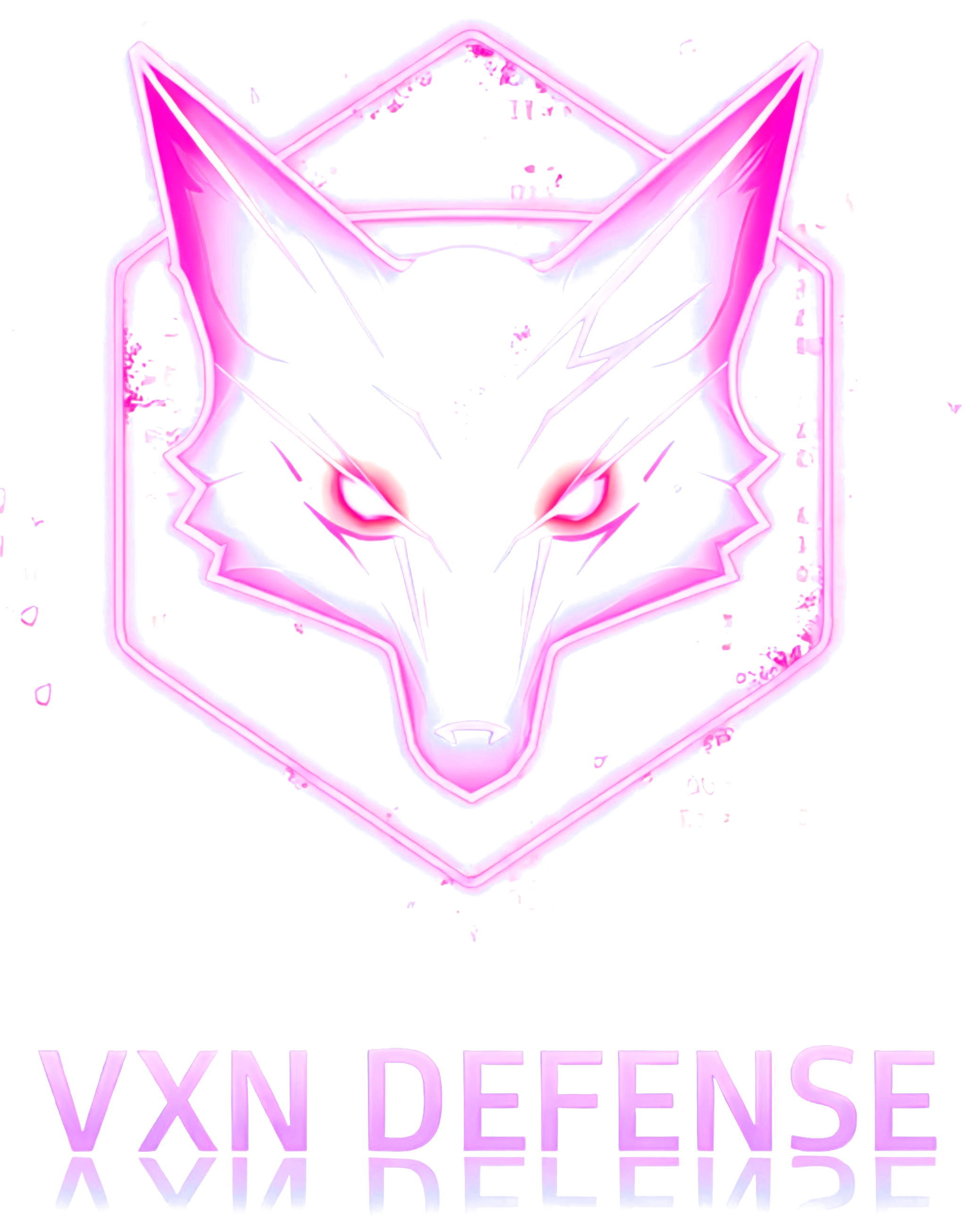 VXN Defense